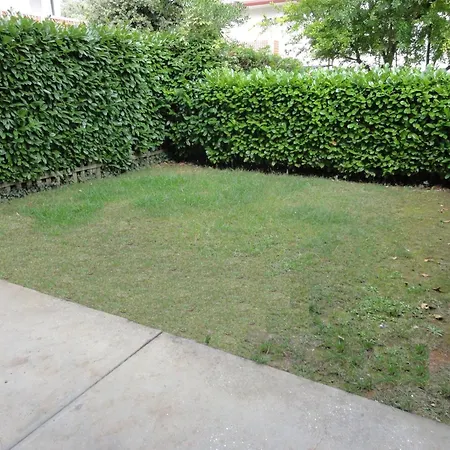 Flat In A With Garden Apartment *